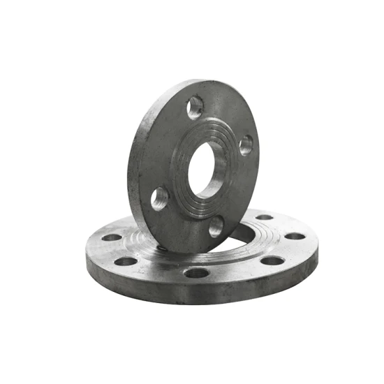 ASME/ANSI/DIN/GOST/BS Stainless Steel /Alloy Steel Carbon Steel Forged Wn Flange