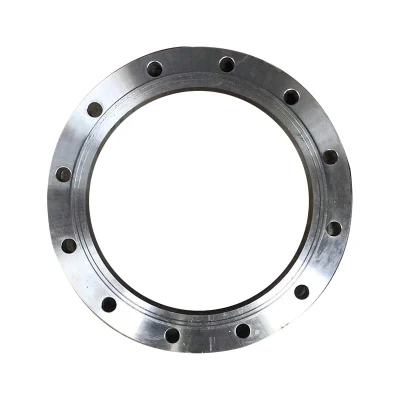 RF/Rtj/FF ANSI/JIS/DIN/API 6A Cl150 ASME B16.5 Welding Forged Weld Neck Carbon Steel Flange