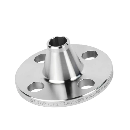 Professional ANSI 304L Stainless Steel Pipe Fitting Forged Welding Neck Flange